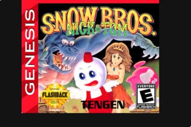 GEN-Snow-Bros-Cartridge