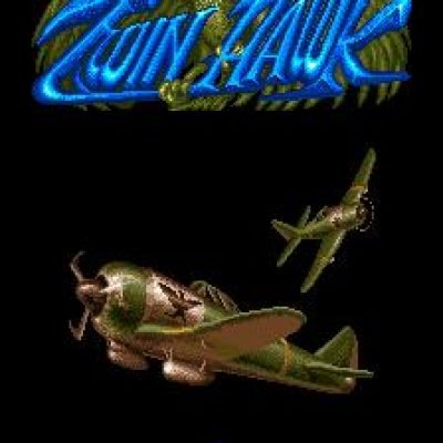 twin-hawk-57233