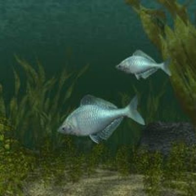 reel-fishing-1996-54728