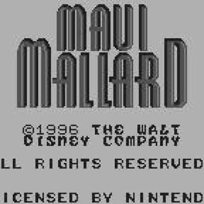 donald-in-maui-mallard-55848