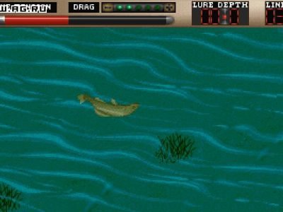 tnn-outdoors-bass-tournament-96-34539