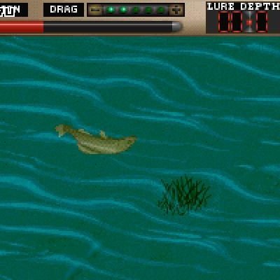 tnn-outdoors-bass-tournament-96-34539