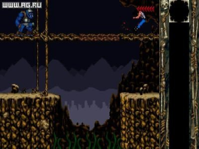 blackthorne-32252