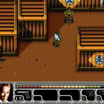 true-lies-55947