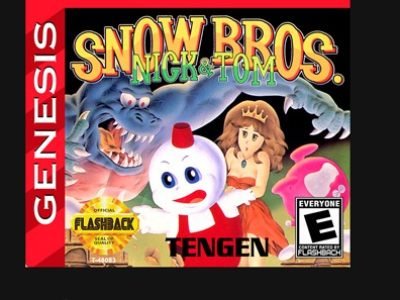 GEN-Snow-Bros-Cartridge