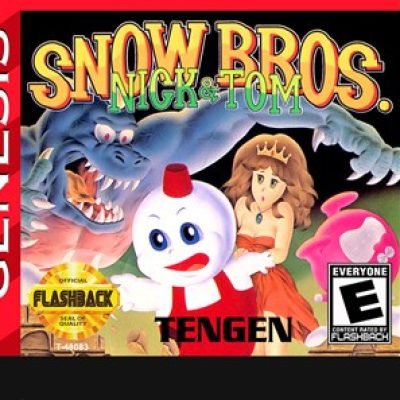 GEN-Snow-Bros-Cartridge