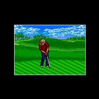 chi-chis-pro-challenge-golf-56968
