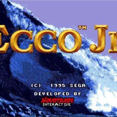 ecco-jr-14981