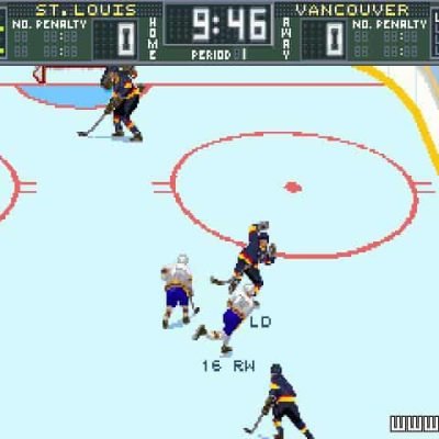 brett-hull-hockey-95-31462