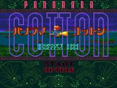 panorama-cotton-57133