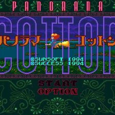 panorama-cotton-57133