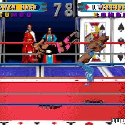 wwf-in-your-house-29359